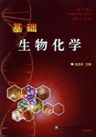 基础生物化学 课后答案 (赵武玲) - 封面