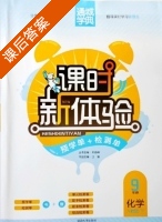 课时新体验 9年级 化学 人教版 下 答案 (朱海峰) - 封面
