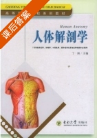 人体解剖学 课后答案 (丁烔 金国华) - 封面