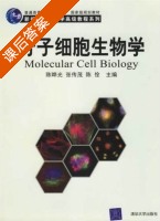 分子细胞生物学 课后答案 (陈晔光 张传茂) - 封面