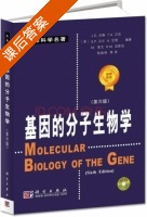 基因的分子生物学 第六版 课后答案 ([美]沃森 杨焕明) - 封面